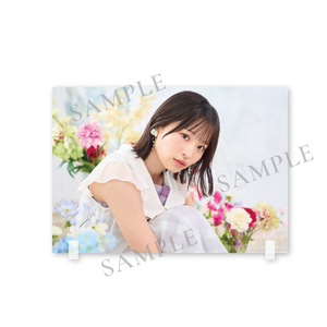 アクリルパネル